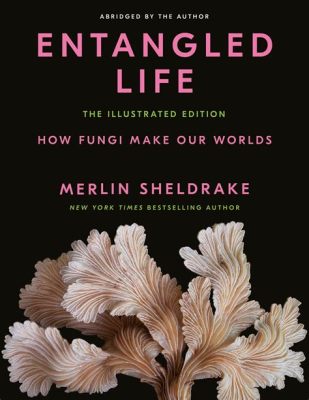  Entangled Lives: A Tale of Love and Loss Across Generations 